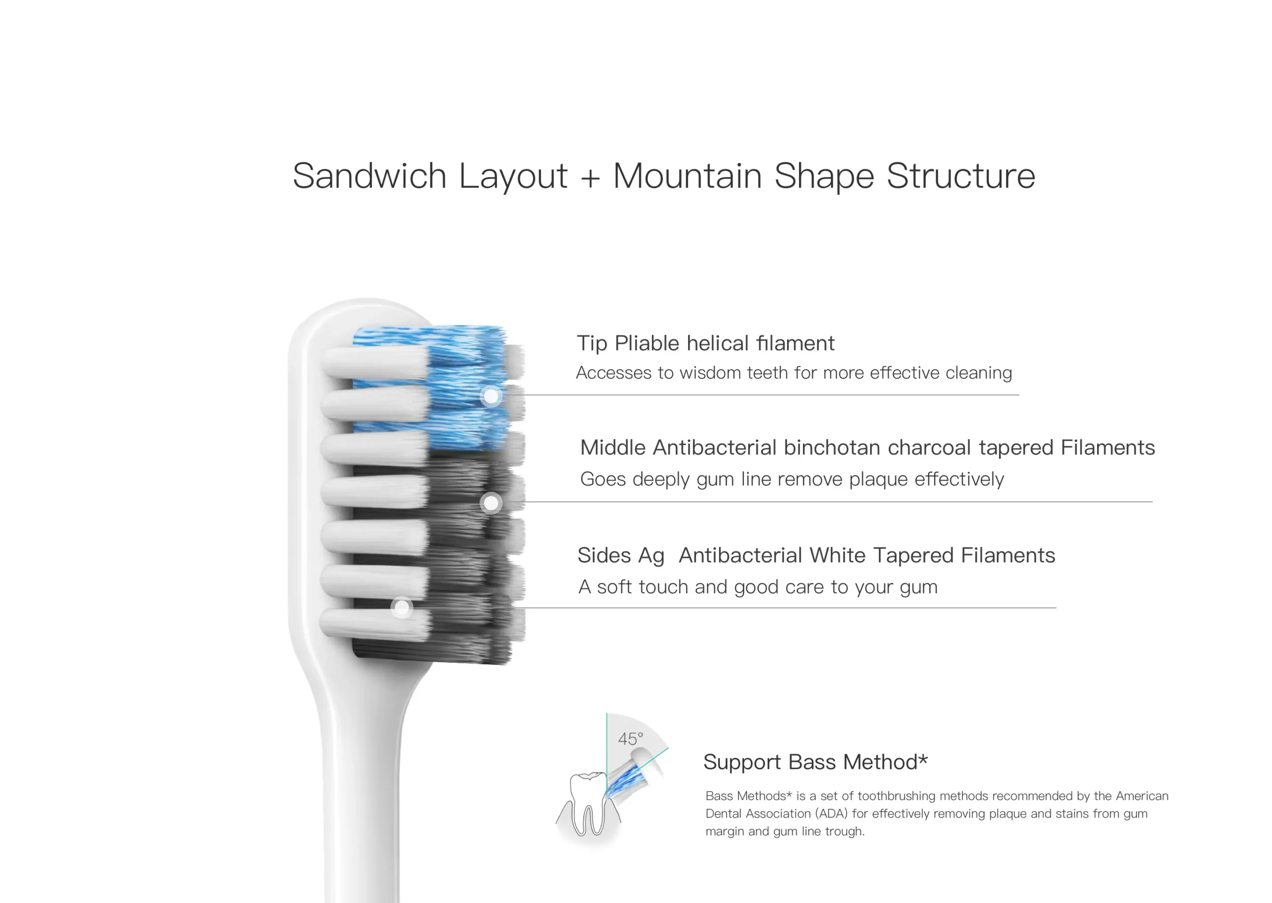 Xiaomi Doctor Bei Bass Toothbrush 3 scaled