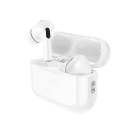 Hoco EW51 ANC True Wireless Earbuds