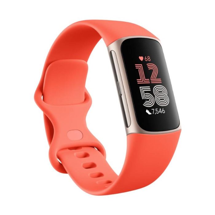 Curated visual reference: Visual Reference: Fitbit Charge 6 Fitness Tracker With Google Apps Latest