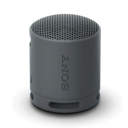 Sony SRS-XB100 Wireless Bluetooth Speaker