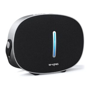 W KING T8 II portable bluetooth speaker main design