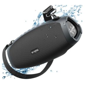 W KING X10 120W portable outdoor bluetooth speaker main design