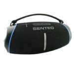 SENTEO STUDIO TSUNAMI 80W Bluetooth Speaker