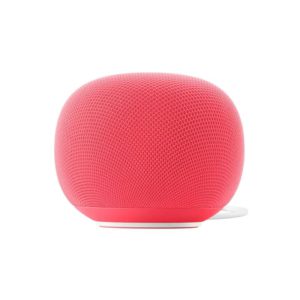Google Home Speaker with Gemini 2026