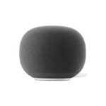 Google Home Gemini Smart Speaker